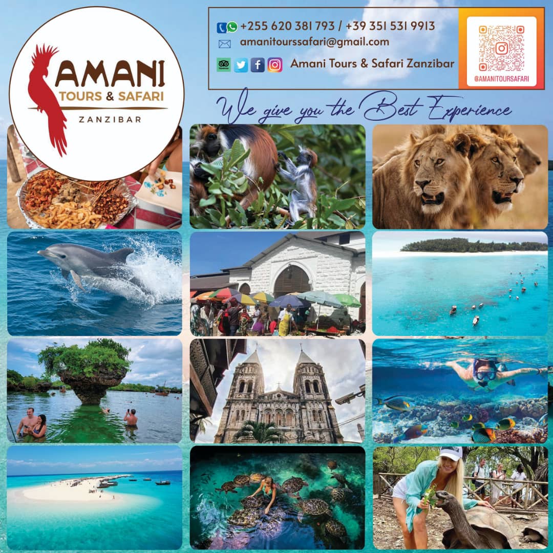 Mosaico di mare, natura, cultura e attività a Zanzibar