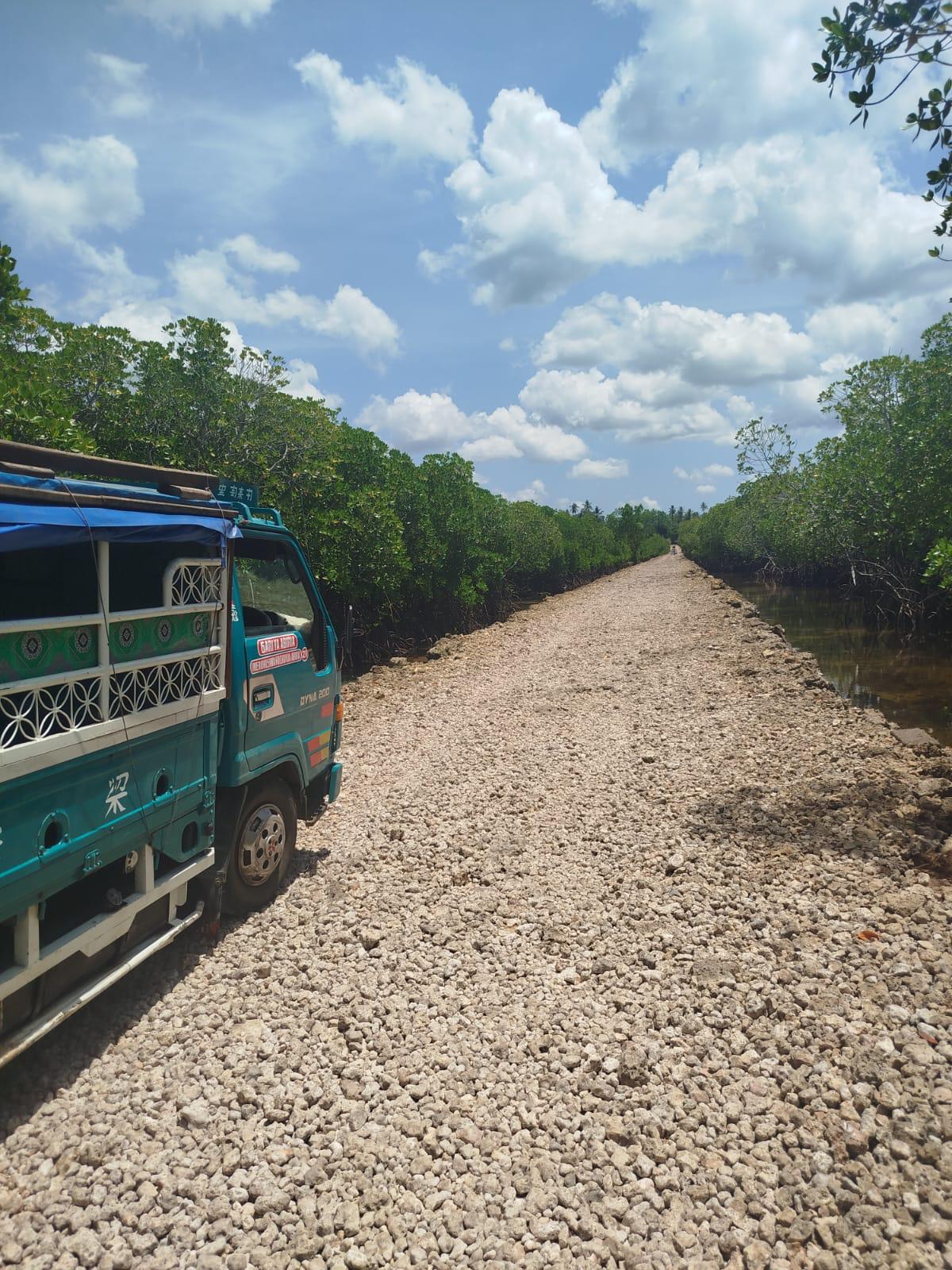 Percorso tra mangrovie e strade locali di Zanzibar