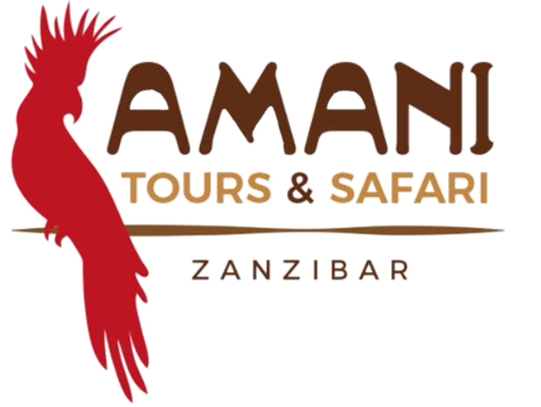 Amani Tours & Safari