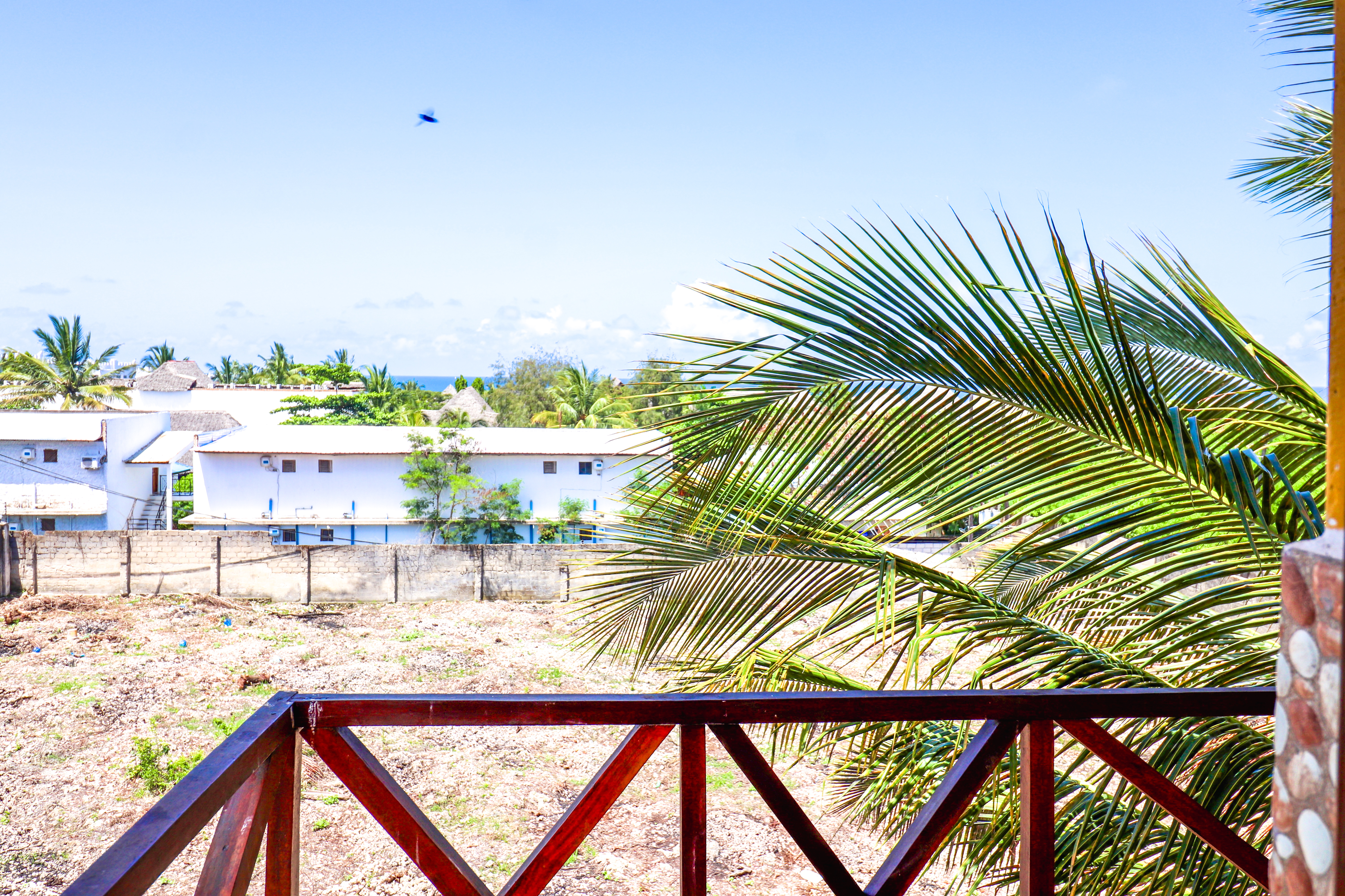 Coccobello Zanzibar