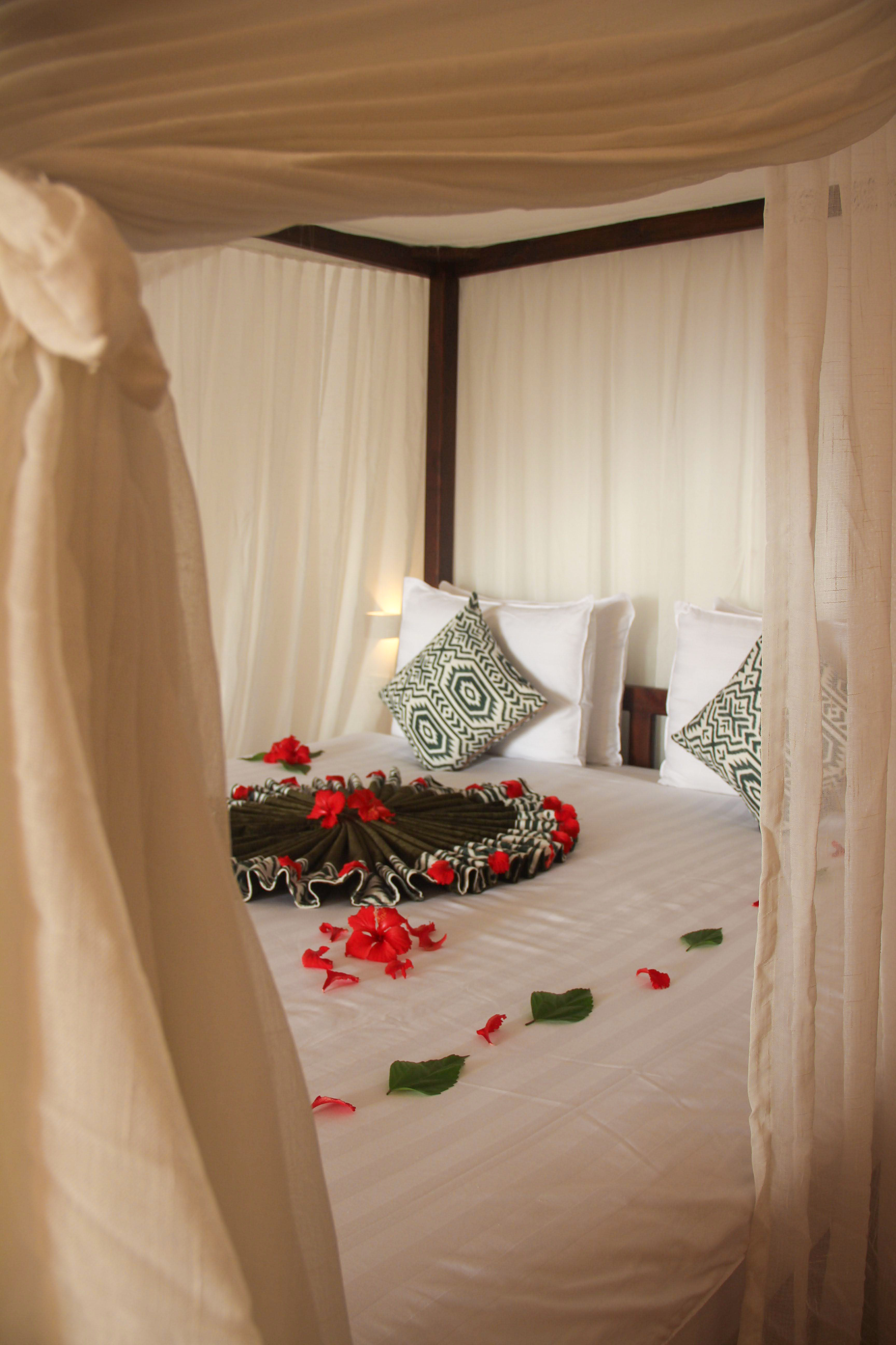 Dream of Zanzibar