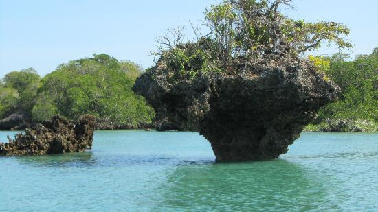 Safari Blue - Kwale Island Laguna Blu