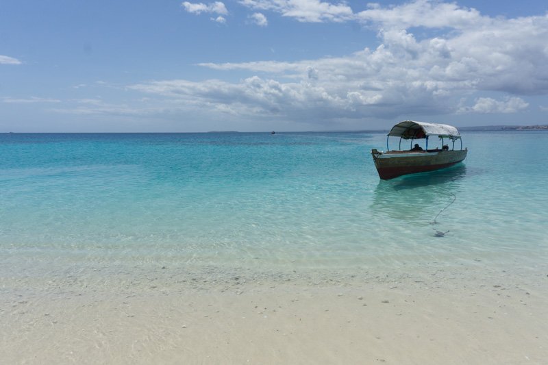Sea Safari